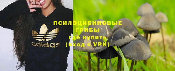 стаф Липки