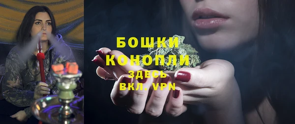 стаф Липки