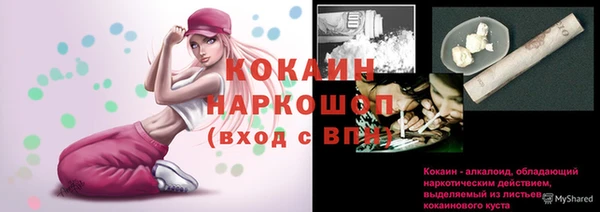 стаф Липки