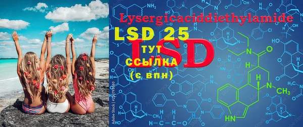 стаф Липки