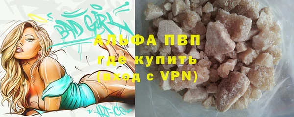 стаф Липки