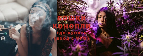 стаф Липки