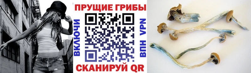 купить наркотики цена Лермонтов Псилоцибиновые грибы мухоморы